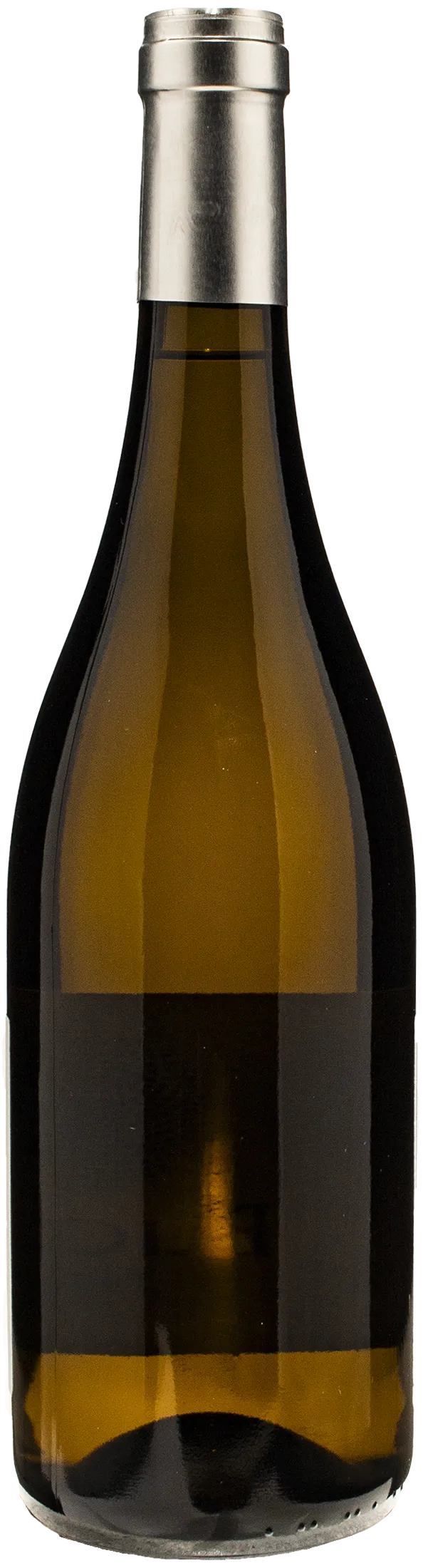 Bucovaz Friulano 2022 - immagine 2